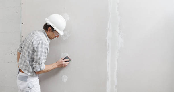 Best Drywall Sanding and Smoothing  in Liberty Hill, TX